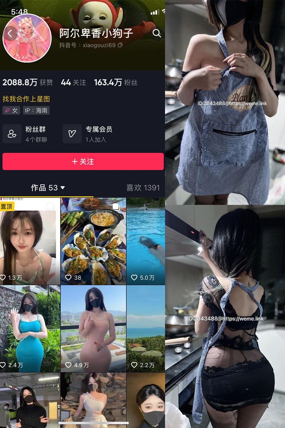 抖音 阿尔卑香小狗子 微密圈 NO.009期 【37P】最新至:2023.6.16