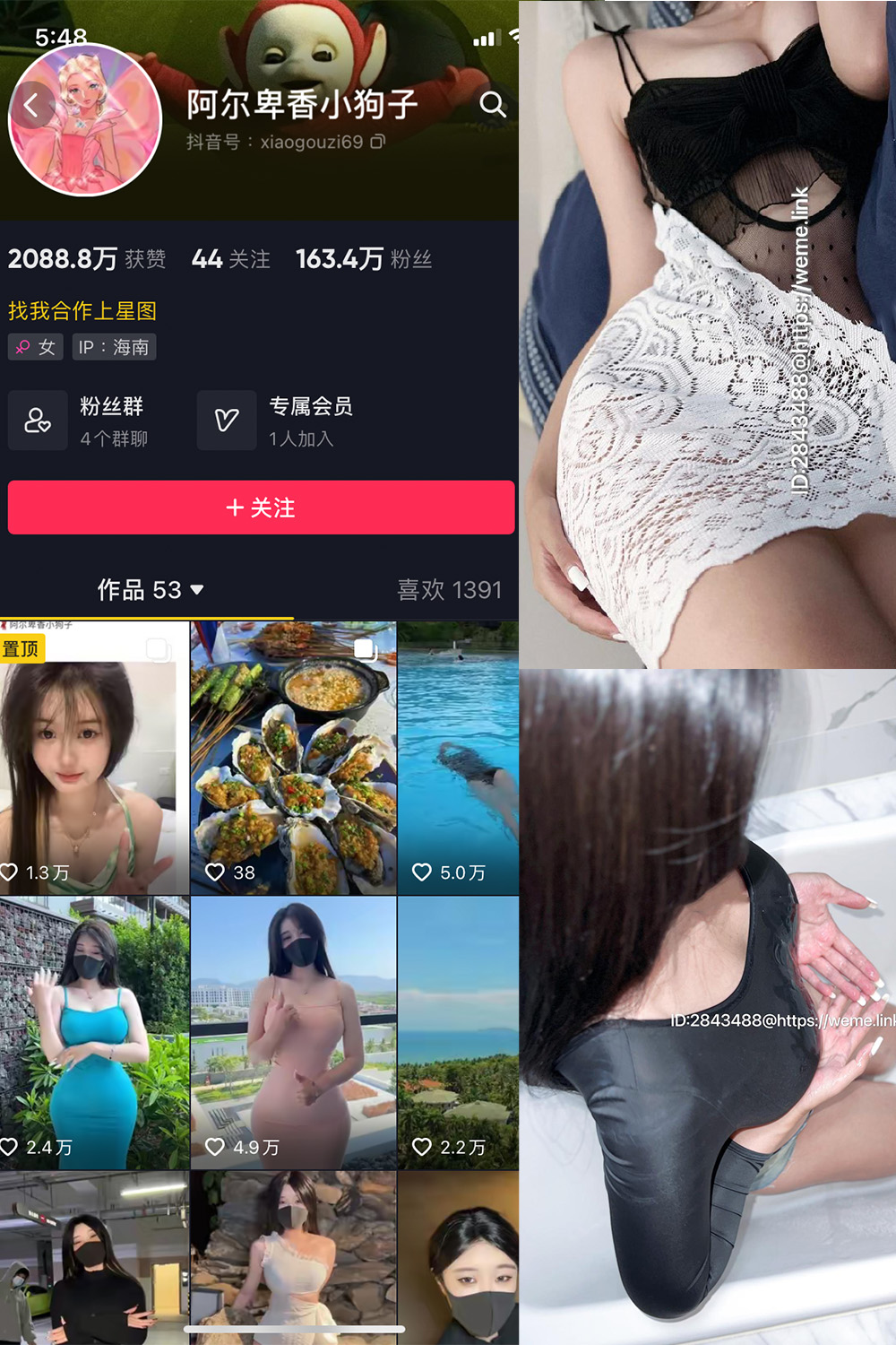 抖音 阿尔卑香小狗子 微密圈 NO.011期 【36P1V】最新至:2023.7.6