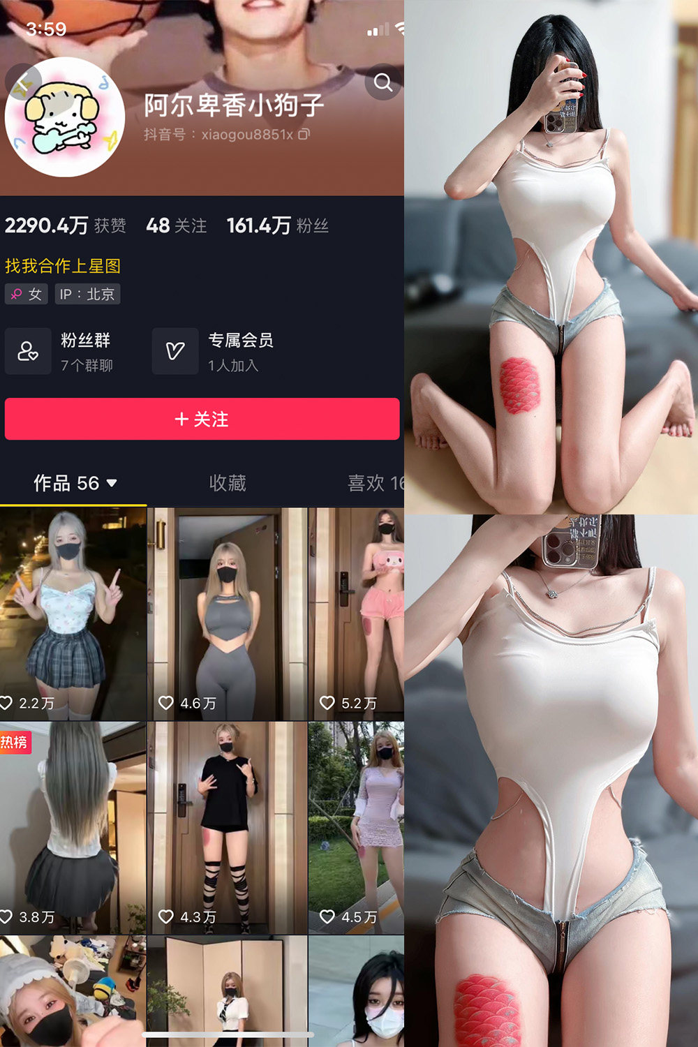 抖音 阿尔卑香小狗子 微密圈 NO.020期 【17P】最新至:2023.8.23