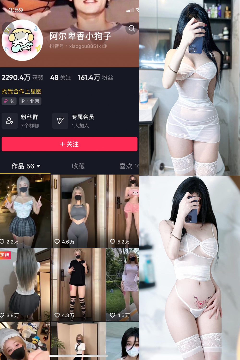 抖音 阿尔卑香小狗子 微密圈 NO.022期 【9P】最新至:2023.9.7