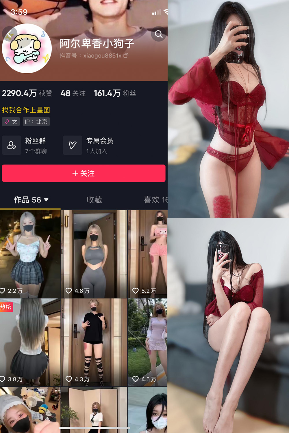 抖音 阿尔卑香小狗子 微密圈 NO.025期 【10P2V】最新至:2023.9.20