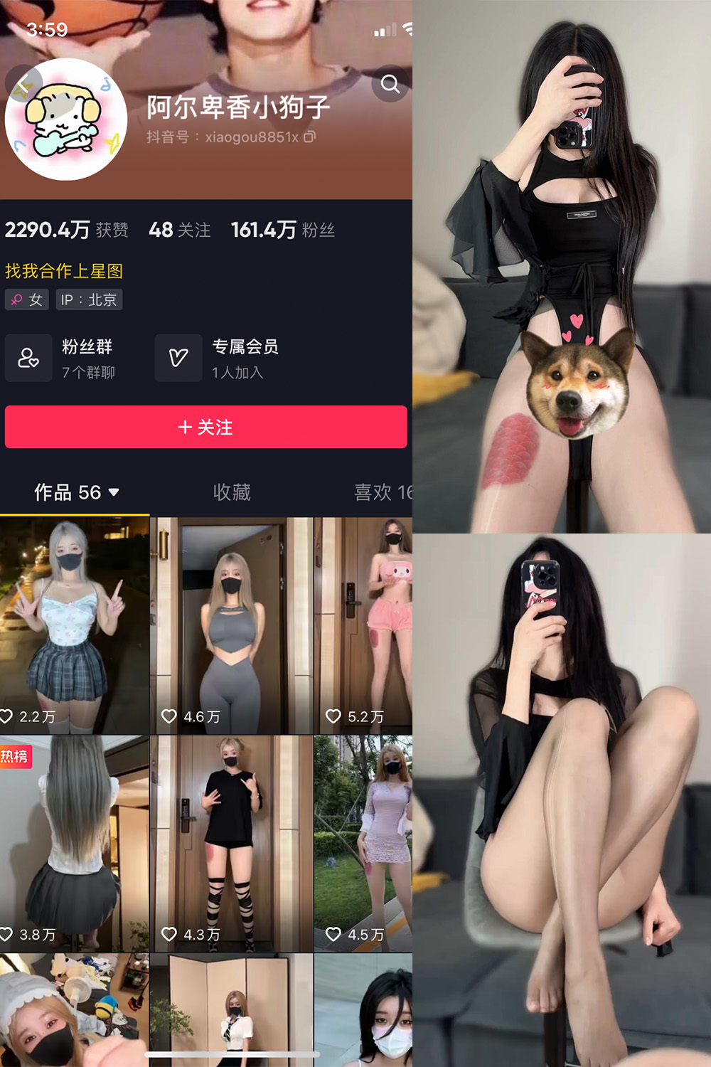 抖音 阿尔卑香小狗子 微密圈 NO.026期 【8P1V】最新至:2023.9.27