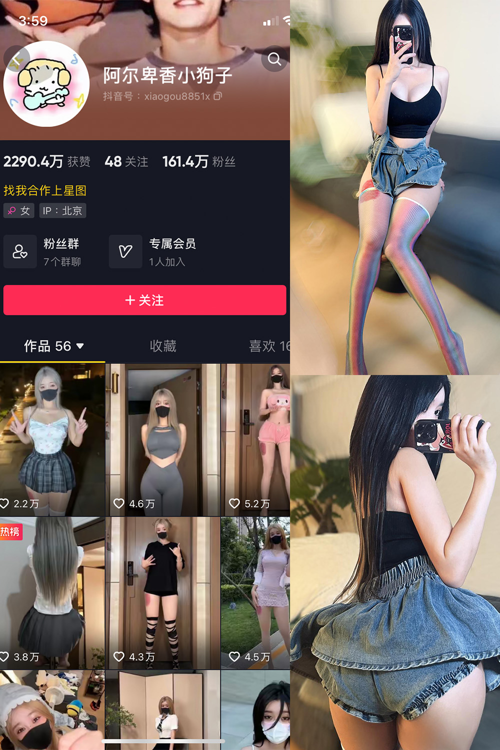 抖音 阿尔卑香小狗子 微密圈 NO.027期 【7P】最新至:2023.9.29