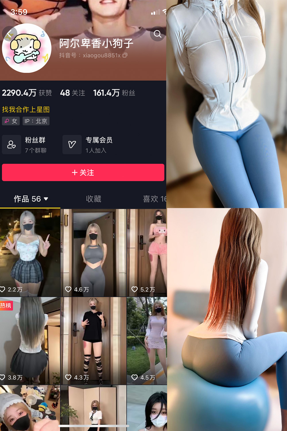 抖音 阿尔卑香小狗子 微密圈 NO.029期 【30P】最新至:2023.10.2