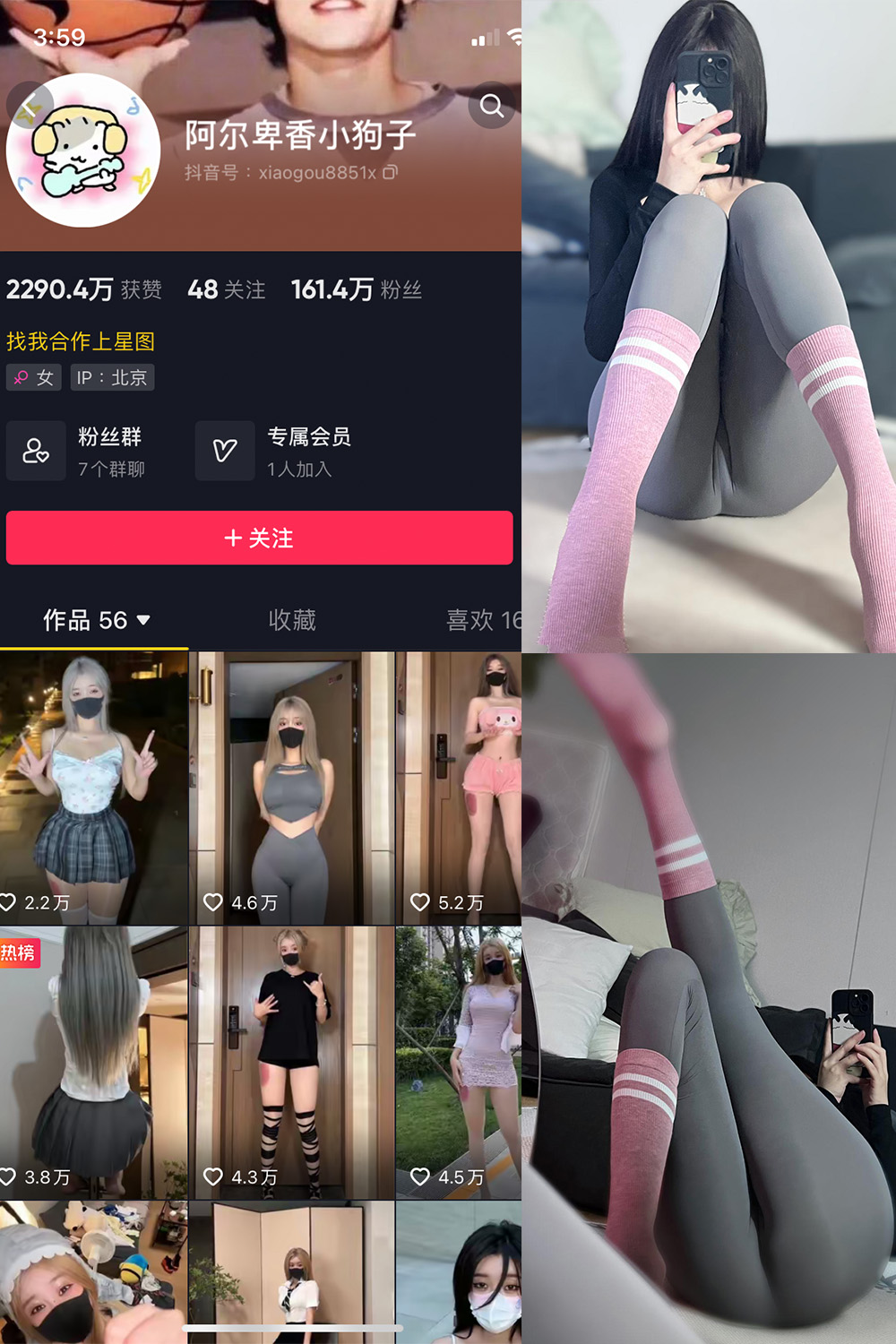 抖音 阿尔卑香小狗子 微密圈 NO.038期 【10P】最新至:2023.11.23
