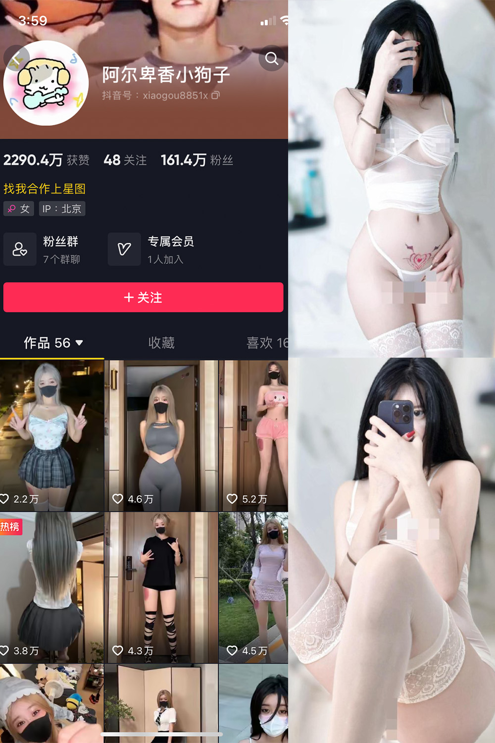 抖音 阿尔卑香小狗子 微密圈 NO.043期 【18P1V】最新至:2024.1.26