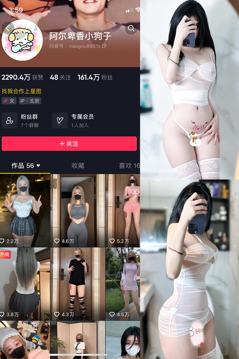 抖音 阿尔卑香小狗子 微密圈 NO.051期 【33P】最新至:2024.7.1