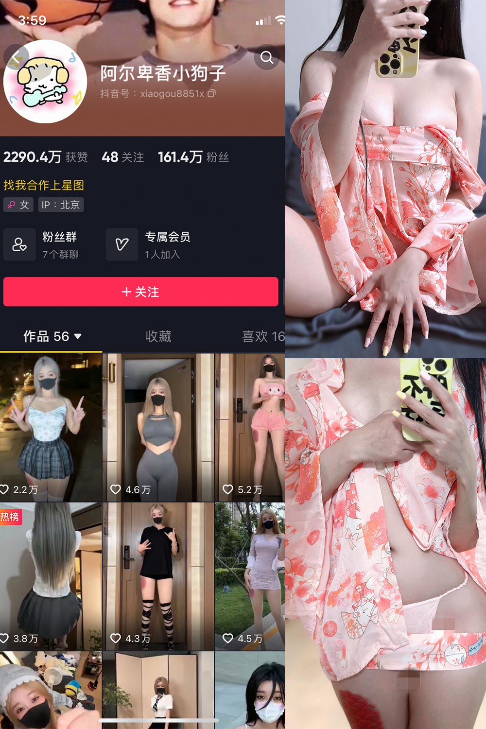 抖音 阿尔卑香小狗子 微密圈 NO.052期 【22P4V】最新至:2024.7.11