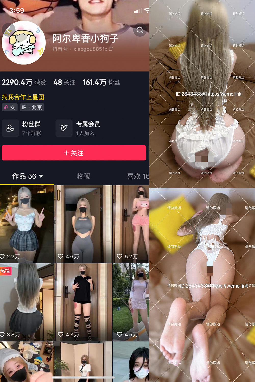 抖音 阿尔卑香小狗子 微密圈 NO.054期 【16P1V】最新至:2024.8.9