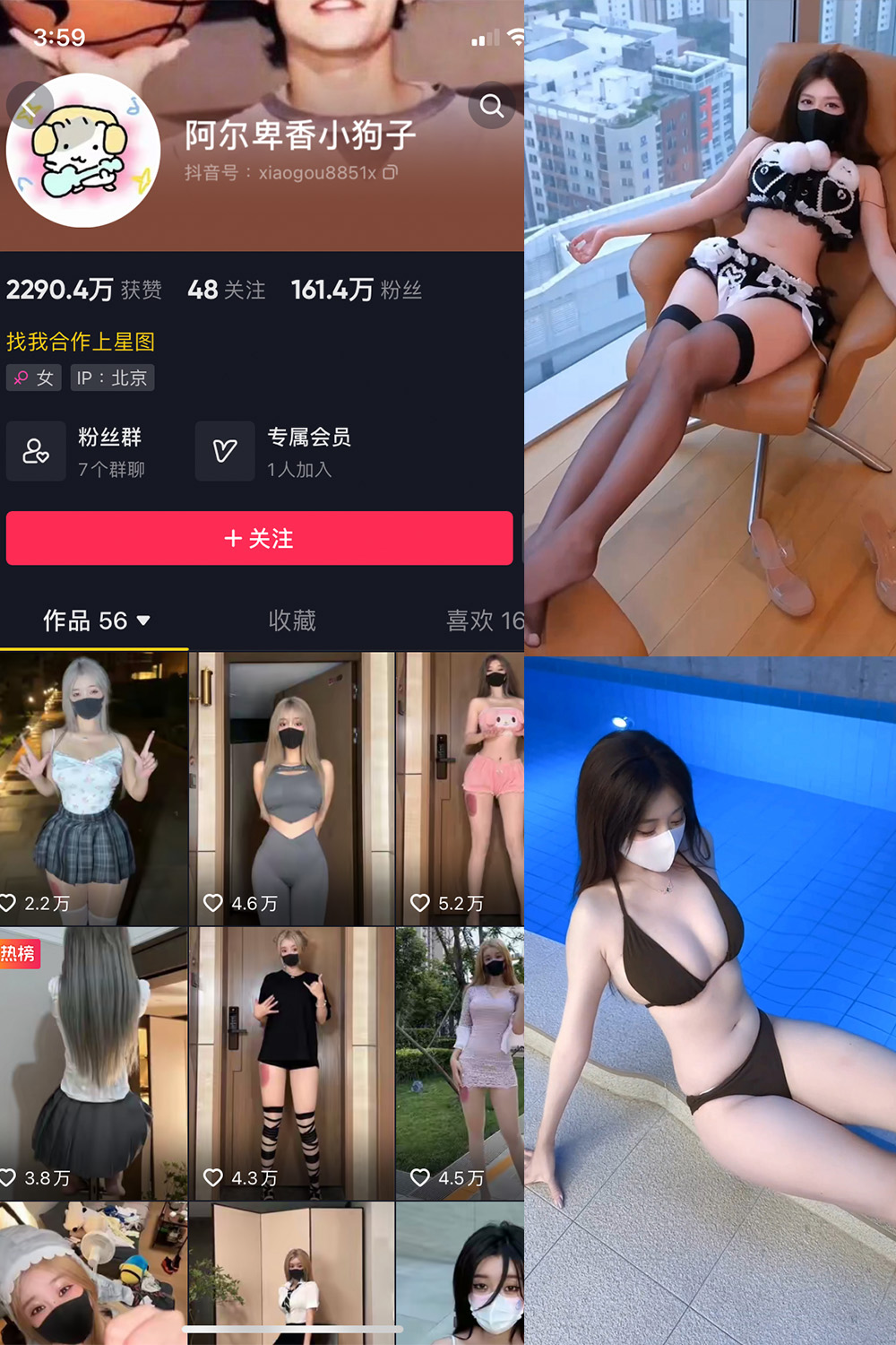 抖音 阿尔卑香小狗子 微密圈 NO.062期 【8V】最新至:2025.5.22
